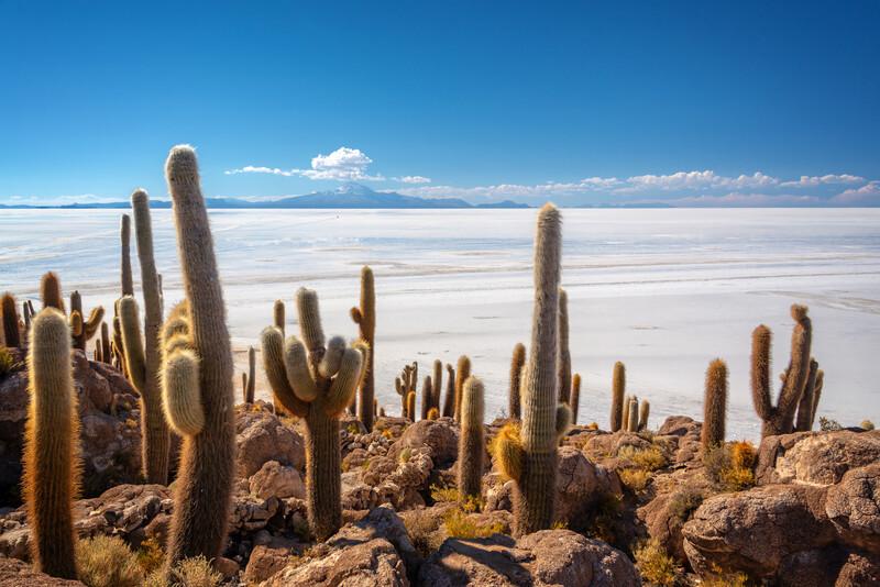 Séjour linguistique Bolivie, Désert du Sel