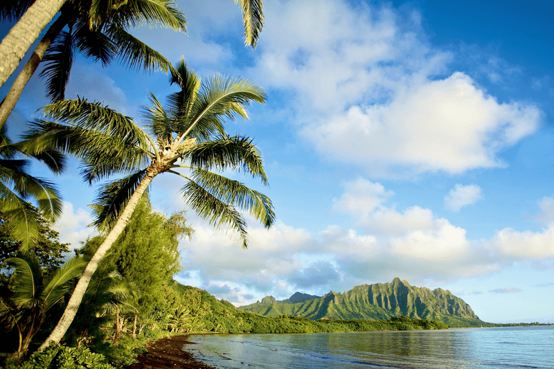 Sprachaufenthalt USA, Hawaii, Landschaft