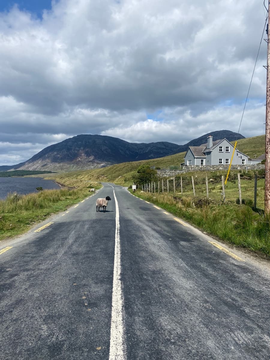 sprachaufenthalt-irland-galway-cultural-institute-review Sprachaufenthalt Irland Galway Cultural Institute Review