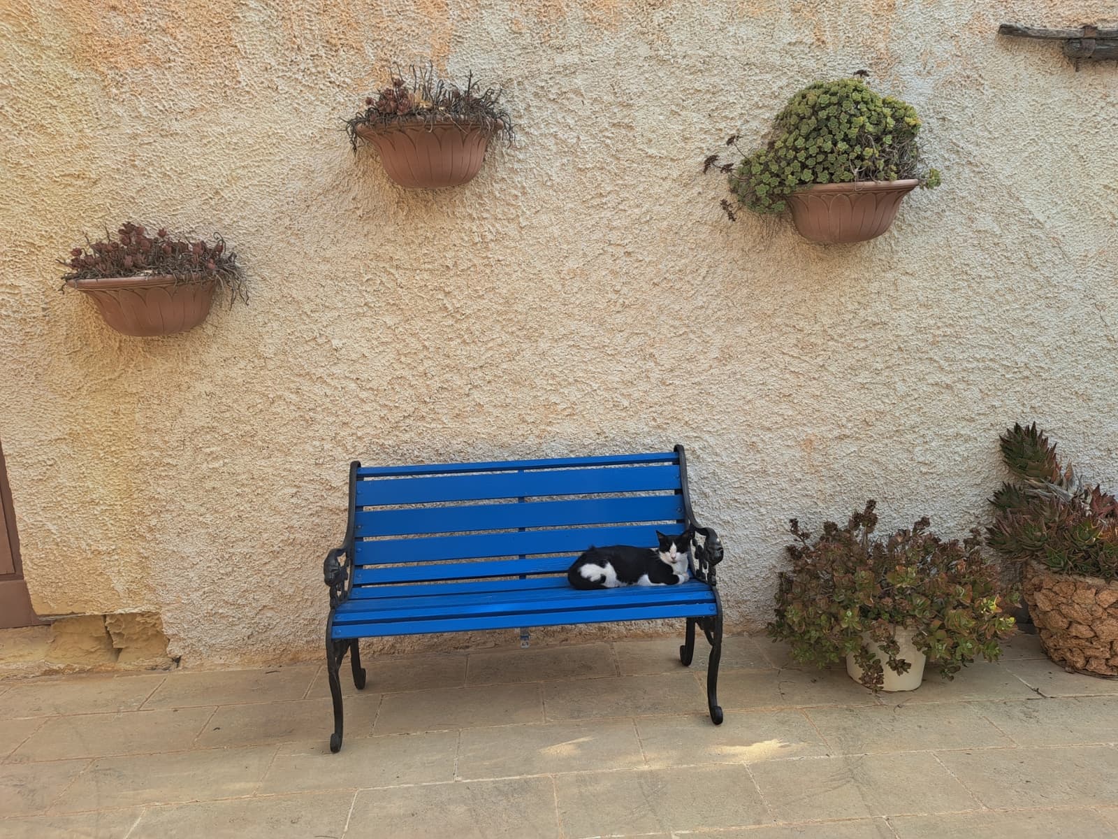 sprachaufenthalt-malta-bels-gozo-review Sprachaufenthalt Malta BELS Gozo Review