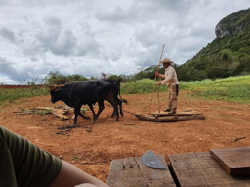 sprachaufenthalt-kuba-estudio-sampere-havanna-review Sprachaufenthalt Kuba Estudio Sampere Havanna Review