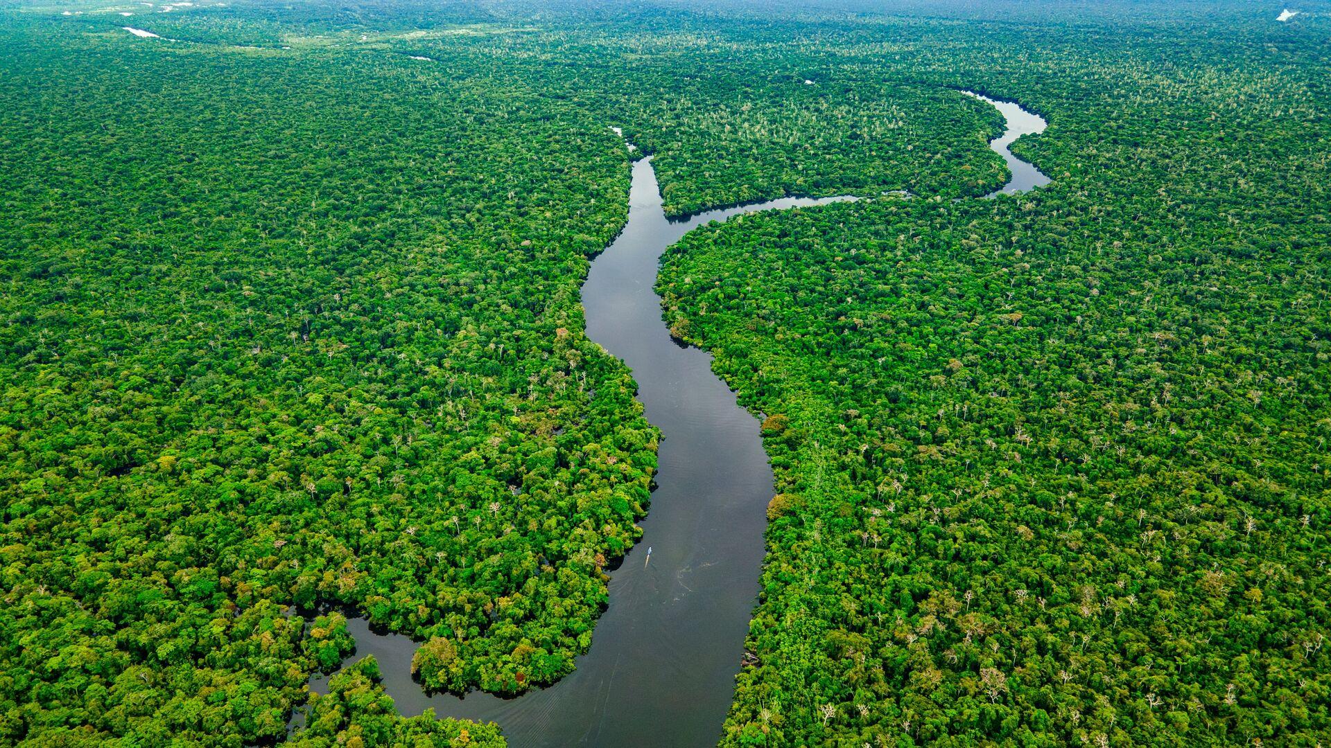 Séjour linguistique, Amazonas