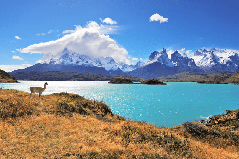 Séjour linguistique Chili, National Park Torres del Paine