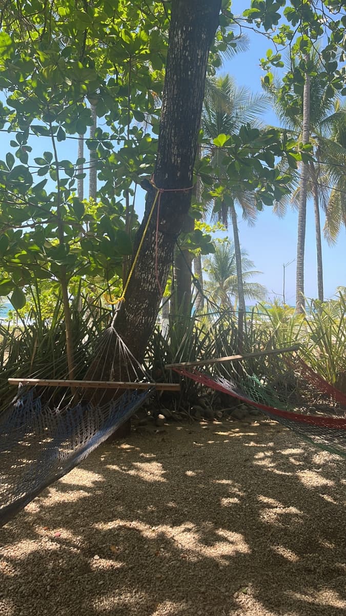 sprachaufenthalt-intercultura-samara-review Sprachaufenthalt Intercultura Sámara Review