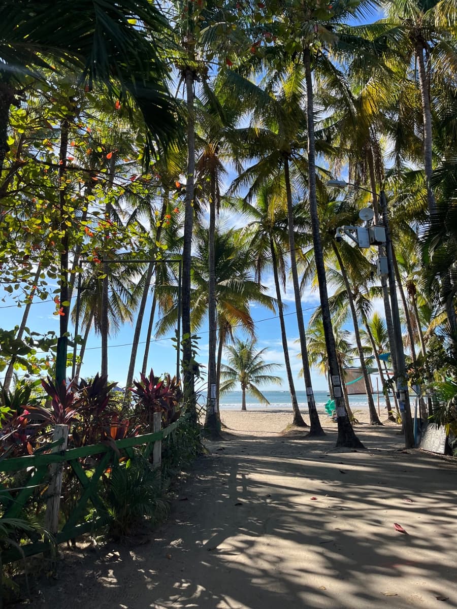 sprachaufenthalt-intercultura-samara-review Sprachaufenthalt Intercultura Sámara Review