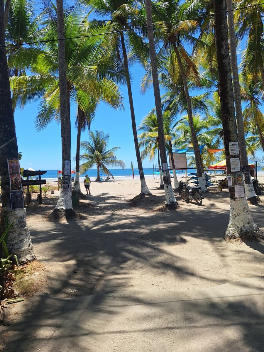 sprachaufenthalt-intercultura-samara-review Sprachaufenthalt Intercultura Sámara Review